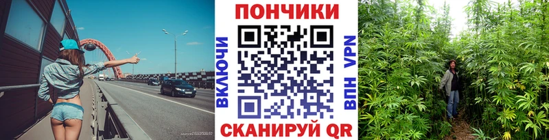 купить наркотик Великий Новгород Конопля Bruce Banner